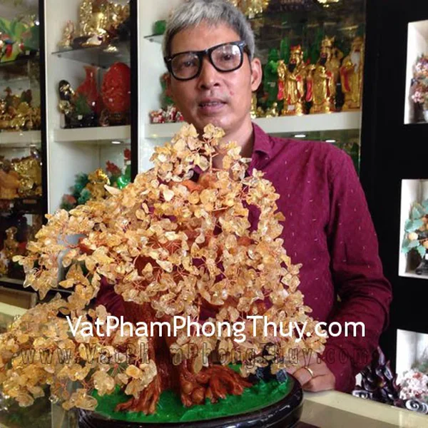 Anh Định - khách hàng mua cây tài lộc thạch anh vàng KC031